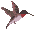 Bird1