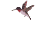 Bird2